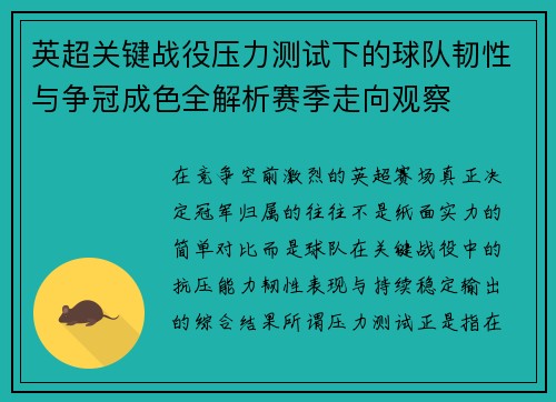 英超关键战役压力测试下的球队韧性与争冠成色全解析赛季走向观察