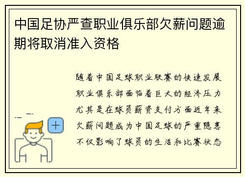 中国足协严查职业俱乐部欠薪问题逾期将取消准入资格